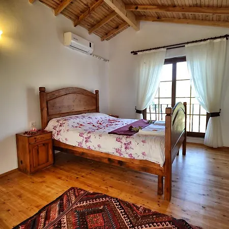 Teo Villa