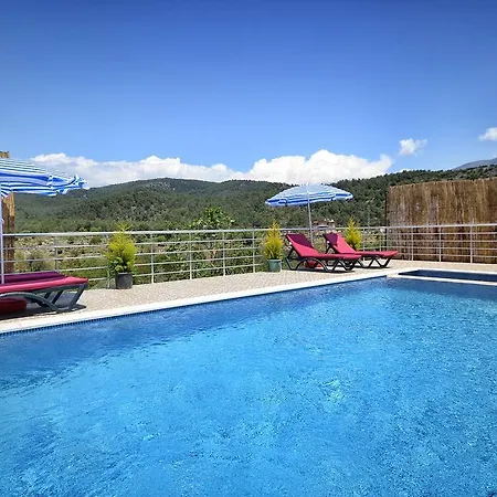 Teo * Fethiye